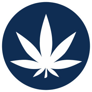 Progams and Services Health Promotion